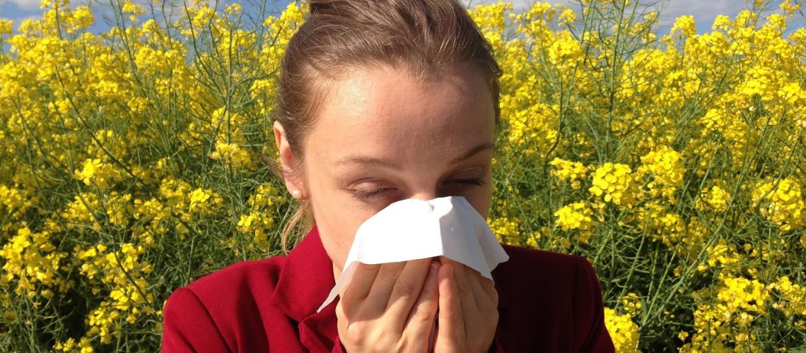cenczi-allergy-1738191_1920 (1)
